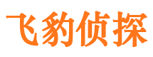 宾县市侦探调查公司